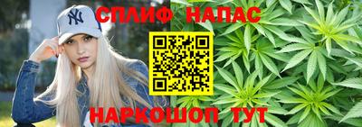 тгк Белореченск
